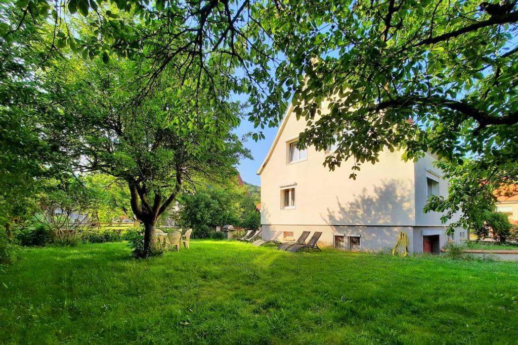 Rooms 4 Persons Kaysersberg Eksteriør bilde